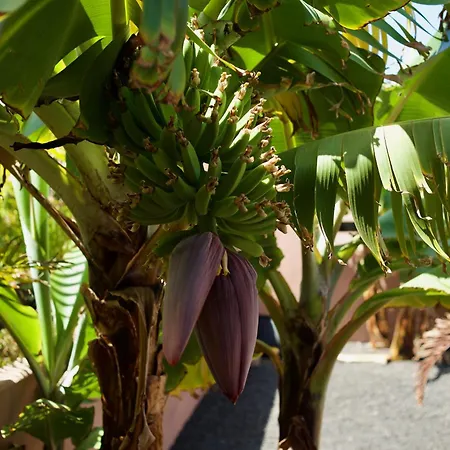 Casa Mia - No Stress Holidays * Lajares