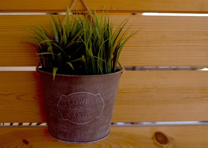 Casa Mia - No Stress Holidays Lägenhet Lajares