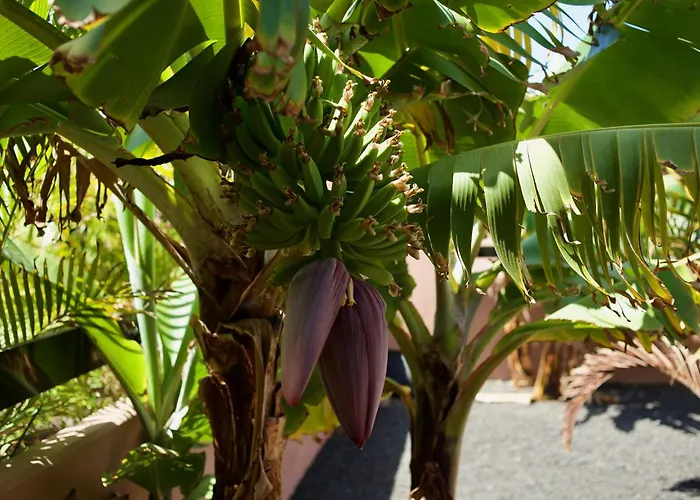 Casa Mia - No Stress Holidays * Lajares